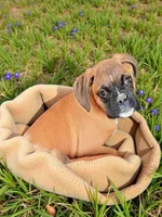 processed/76535d69-5950-4b60-8075-b38e83aecdf7/listing/b1626b9a-a59f-490e-83f6-0fa49ba3868a/264e4d0d-0fa8-4233-8e79-d177619a1520