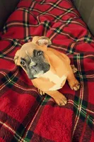 processed/76535d69-5950-4b60-8075-b38e83aecdf7/listing/b1626b9a-a59f-490e-83f6-0fa49ba3868a/5cb92e2d-0939-456c-902e-46f9f8395152