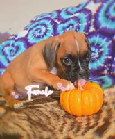 processed/76535d69-5950-4b60-8075-b38e83aecdf7/listing/b1626b9a-a59f-490e-83f6-0fa49ba3868a/70727844-5b99-4e03-a95e-378aeea3e63d