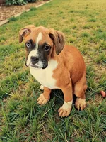 processed/76535d69-5950-4b60-8075-b38e83aecdf7/listing/d6ec39e4-9198-405c-90f8-3de3b1cb6360/2a0c5d8c-cd1f-4975-8db5-ad260811b173