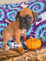 processed/76535d69-5950-4b60-8075-b38e83aecdf7/listing/ef381810-d93b-41bd-9390-7675f4a2160a/2322e71a-c747-4d8a-9cc7-d47fa42a664a