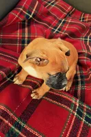 processed/76535d69-5950-4b60-8075-b38e83aecdf7/listing/ef381810-d93b-41bd-9390-7675f4a2160a/678c0d6e-e2f7-4aed-a0e2-05a6dacd6cf8