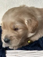 processed/76542756-666a-464a-a007-0de39e17455c/listing/646bd6c9-07b9-49a2-912b-3add7d4b6052/29a70a09-f5b9-463d-8e63-26049605c2d7