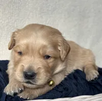 processed/76542756-666a-464a-a007-0de39e17455c/listing/646bd6c9-07b9-49a2-912b-3add7d4b6052/b53ff451-3e3f-4f3d-9441-644e485e6f7b