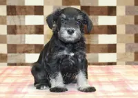 processed/7656d0f3-f861-47e0-bb78-543d34a1e63b/listing/288a1ded-f466-43d1-ab39-eee024d23ce3/8d6f1faa-5d36-4ad4-9968-1e77817d9a8a