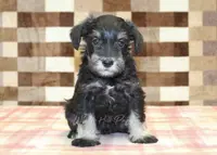 processed/7656d0f3-f861-47e0-bb78-543d34a1e63b/listing/288a1ded-f466-43d1-ab39-eee024d23ce3/f5e2b802-345e-4f52-849b-8f6b6f8b0f9e