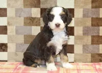 processed/7656d0f3-f861-47e0-bb78-543d34a1e63b/listing/65fd51c5-4528-4249-90e5-2c853bec2aaf/899bf549-51c0-437c-9466-e1c9c64ba950