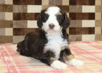 processed/7656d0f3-f861-47e0-bb78-543d34a1e63b/listing/65fd51c5-4528-4249-90e5-2c853bec2aaf/e23dc2b7-e6b1-46cc-864d-db35794bf2b5