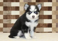 processed/7656d0f3-f861-47e0-bb78-543d34a1e63b/listing/6d18c189-58b1-4f22-b1dc-e5812a23d4fb/22a8e2bd-2674-4b90-b6c1-59b49e607aba