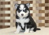 processed/7656d0f3-f861-47e0-bb78-543d34a1e63b/listing/6d18c189-58b1-4f22-b1dc-e5812a23d4fb/7a805744-1fee-40c1-8568-5a4ca20bc1bc