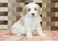 processed/7656d0f3-f861-47e0-bb78-543d34a1e63b/listing/7fb04ba0-126a-4feb-a45c-e0ef9926f363/705a9102-832a-44a1-8aec-265e4e63c5b2