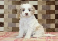 processed/7656d0f3-f861-47e0-bb78-543d34a1e63b/listing/7fb04ba0-126a-4feb-a45c-e0ef9926f363/86da47f9-72a1-46da-a59f-8d35b32933ca