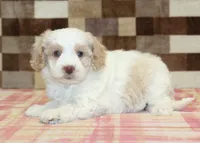 processed/7656d0f3-f861-47e0-bb78-543d34a1e63b/listing/7fb04ba0-126a-4feb-a45c-e0ef9926f363/da55cfa3-5cea-4c6a-a7c0-39f7e69253d5