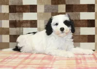 processed/7656d0f3-f861-47e0-bb78-543d34a1e63b/listing/bc743cc2-eebd-4316-b021-6963ea84cb6b/31bda732-b480-42ae-919a-30f1f7d6f25e