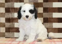 processed/7656d0f3-f861-47e0-bb78-543d34a1e63b/listing/bc743cc2-eebd-4316-b021-6963ea84cb6b/85e985c7-51f1-4747-8098-ce68b3279382