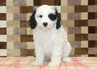 processed/7656d0f3-f861-47e0-bb78-543d34a1e63b/listing/bc743cc2-eebd-4316-b021-6963ea84cb6b/bde3d7d0-39fb-4ecb-9eed-a608da130a15