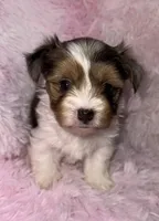 processed/765a1623-c562-420e-aa62-1b002e61eaed/listing/05806d82-d44f-468a-ad80-f820952d1590/18d218e1-32cf-4ea1-8c5f-40a1b3cc990c