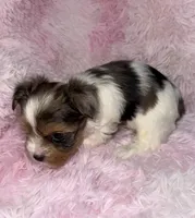 processed/765a1623-c562-420e-aa62-1b002e61eaed/listing/05806d82-d44f-468a-ad80-f820952d1590/75b96648-ab1c-444c-a47e-b04f3e9ac77a