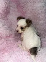 processed/765a1623-c562-420e-aa62-1b002e61eaed/listing/05806d82-d44f-468a-ad80-f820952d1590/7c743da0-6f40-4a76-a45b-1b99982d2d96