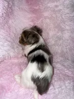 processed/765a1623-c562-420e-aa62-1b002e61eaed/listing/05806d82-d44f-468a-ad80-f820952d1590/7ff7e591-b1a0-4008-bd6f-12ce05301c97