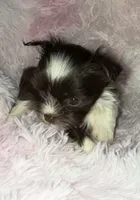 processed/765a1623-c562-420e-aa62-1b002e61eaed/listing/2e5dbe99-72d7-475b-b906-3e196bf5dd02/7bd5ec6f-2602-4e25-958d-27caa5916a15