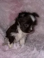 processed/765a1623-c562-420e-aa62-1b002e61eaed/listing/2e5dbe99-72d7-475b-b906-3e196bf5dd02/a832b326-a709-4468-a248-a0101f2418ad