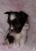 processed/765a1623-c562-420e-aa62-1b002e61eaed/listing/2e5dbe99-72d7-475b-b906-3e196bf5dd02/cc52afd5-ae0e-48df-b35a-0a208d77b4b1