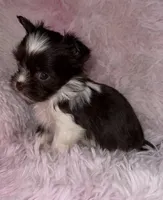 processed/765a1623-c562-420e-aa62-1b002e61eaed/listing/2e5dbe99-72d7-475b-b906-3e196bf5dd02/ccc6bbd4-6b64-4db0-99d0-766aa9d3880d