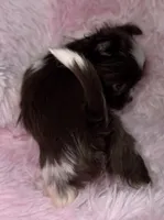 processed/765a1623-c562-420e-aa62-1b002e61eaed/listing/2e5dbe99-72d7-475b-b906-3e196bf5dd02/ef70868c-c453-4b46-bcc3-4c3fb0c7572a