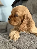 processed/765bc0ad-5779-471a-821c-a5cfc25af39b/listing/37ba114d-af06-48ff-9543-8a39342c08a3/3fbc9c56-21b3-4ebc-b17e-83caab0af110