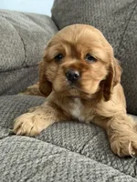 processed/765bc0ad-5779-471a-821c-a5cfc25af39b/listing/37ba114d-af06-48ff-9543-8a39342c08a3/40eb4987-9bfe-4dc0-a5fb-ba2c32b46f64