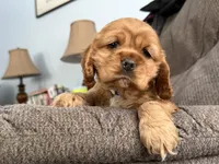 processed/765bc0ad-5779-471a-821c-a5cfc25af39b/listing/37ba114d-af06-48ff-9543-8a39342c08a3/4f53a22f-132d-4a30-9987-4a5804d7bcd6