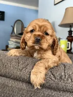 processed/765bc0ad-5779-471a-821c-a5cfc25af39b/listing/37ba114d-af06-48ff-9543-8a39342c08a3/a96a248c-228e-4b3b-8e48-5c34fa31aedc