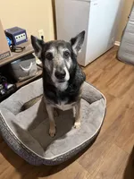 processed/765ce76b-615b-49f5-9e47-0ca5bd28d12e/facility/f89797a6-18f2-4a24-b020-abfa7fe21df2