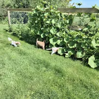 processed/765e6d5b-97df-47af-960a-d53279518e72/facility/1b71c43d-2748-402e-909e-c294fe636611