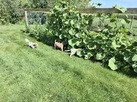 processed/765e6d5b-97df-47af-960a-d53279518e72/facility/1b71c43d-2748-402e-909e-c294fe636611