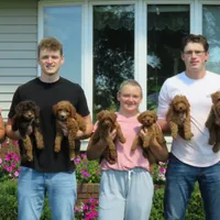 processed/765e6d5b-97df-47af-960a-d53279518e72/facility/45370386-0ab6-4aae-a234-612a917c4389