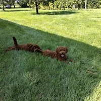 processed/765e6d5b-97df-47af-960a-d53279518e72/facility/b3bcd801-9352-4376-90fc-b0c79f74c649