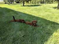 processed/765e6d5b-97df-47af-960a-d53279518e72/facility/b3bcd801-9352-4376-90fc-b0c79f74c649