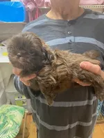 processed/7672a567-db63-4baf-af36-8d7beff4367e/facility/3042f596-b708-4419-9c39-b57ab5956ca6