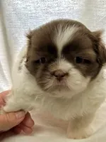 processed/7672a567-db63-4baf-af36-8d7beff4367e/facility/45478729-b220-4800-ab45-04cb3318e7a2