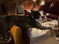 processed/7672a567-db63-4baf-af36-8d7beff4367e/facility/b6155095-5ccc-4fe8-b6c4-a939e597e55c