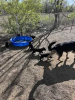 processed/76738208-fa8c-41e2-9d9e-99b51618f4da/facility/32aac5ef-d08d-4018-85c8-577a180671e3