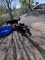 processed/76738208-fa8c-41e2-9d9e-99b51618f4da/facility/feb9b4f6-0416-43fd-9138-0614b421e590