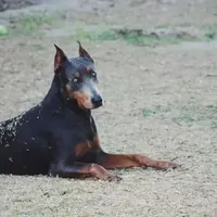 processed/7678bd73-cd54-4973-b1d2-ca98cce5fa07/facility/0ba32c67-42d5-4d11-a1bc-eba4d36a04b6