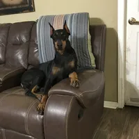 processed/7678bd73-cd54-4973-b1d2-ca98cce5fa07/facility/10f521ee-692a-452a-bfef-e49653af0037