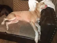 processed/7678bd73-cd54-4973-b1d2-ca98cce5fa07/facility/76b9ebbe-cd3b-4ac3-b839-e517acce7d49