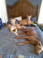 processed/7678bd73-cd54-4973-b1d2-ca98cce5fa07/facility/9ed4660e-fb09-42cd-ab7f-7b868914ae20