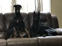 processed/7678bd73-cd54-4973-b1d2-ca98cce5fa07/facility/ae695738-7d70-4afe-bf85-0e63dc97a453