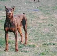 processed/7678bd73-cd54-4973-b1d2-ca98cce5fa07/facility/b9652fc4-a4a0-42fc-90ed-8b416b243b5c